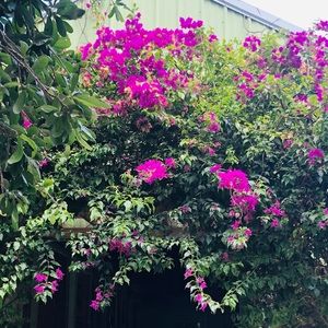 Meet your Posher, Anya